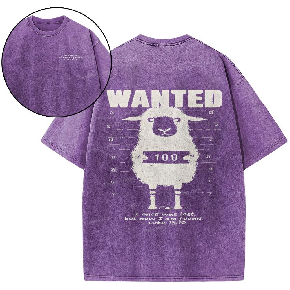 Wanted Snowflake Vintage Washed T-Shirt
