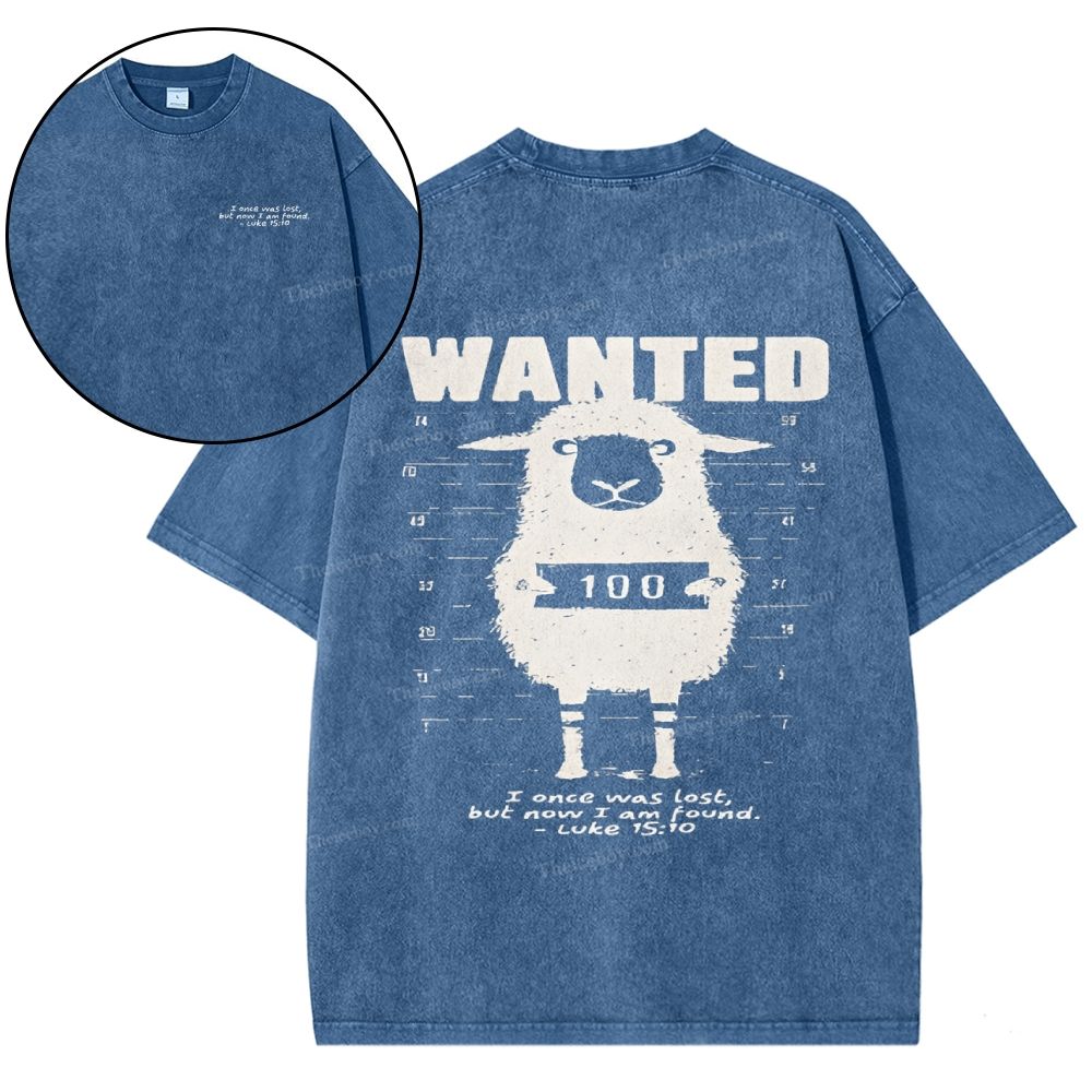Wanted Snowflake Vintage Washed T-Shirt