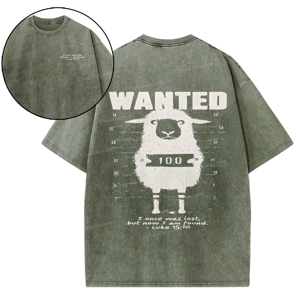 Wanted Snowflake Vintage Washed T-Shirt