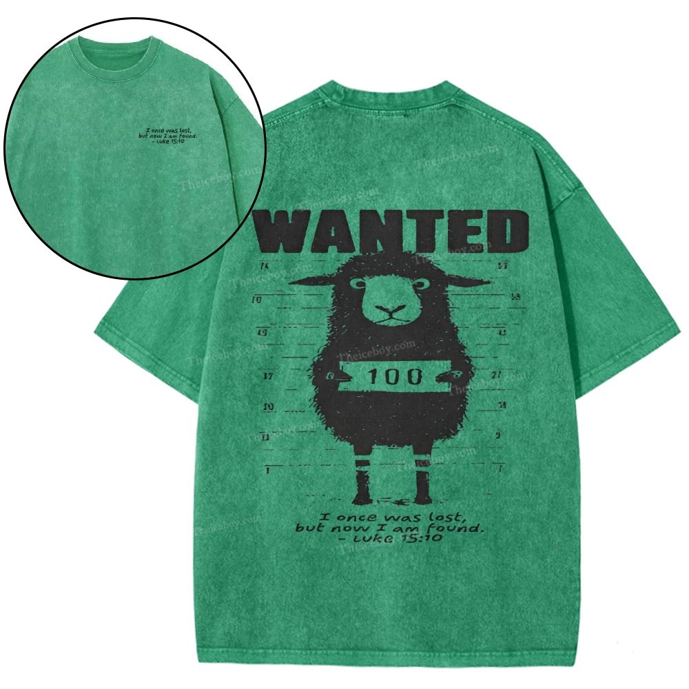 Wanted Snowflake Vintage Washed T-Shirt