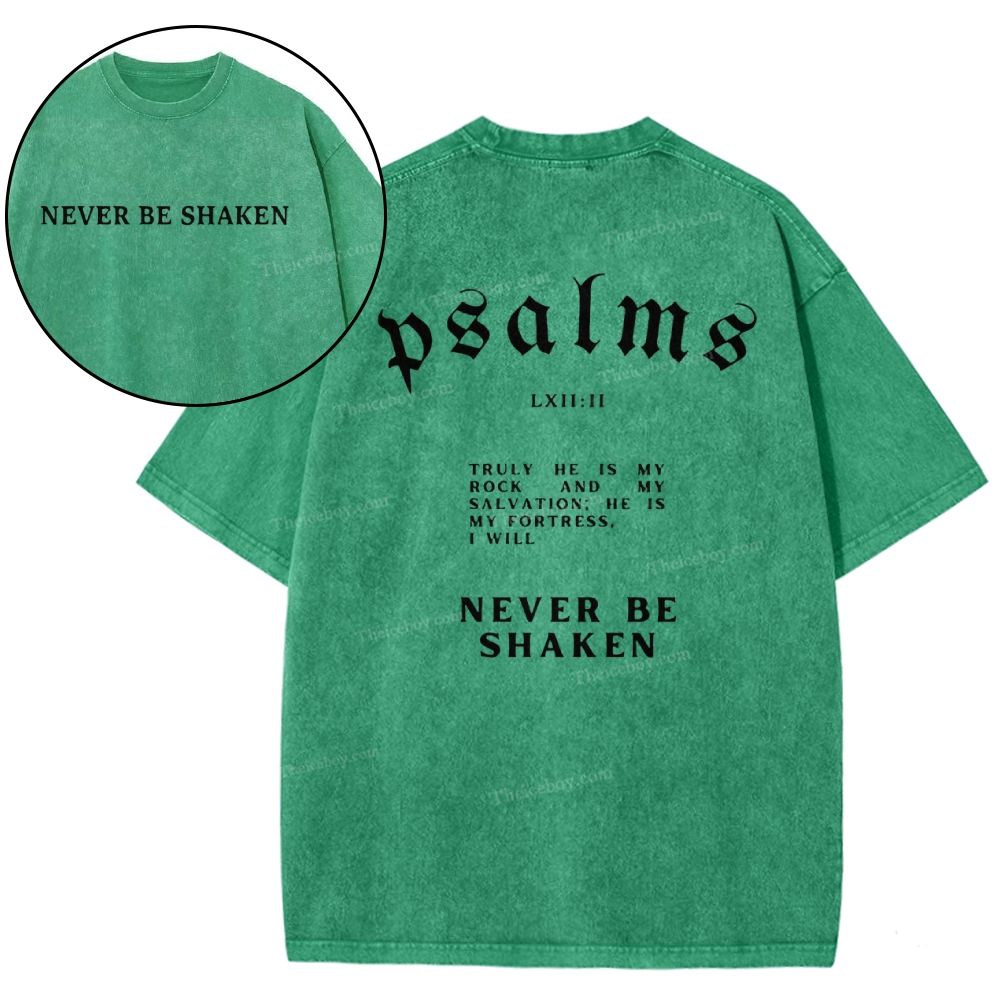 Never Be Shaken Snowflake Vintage Washed T-Shirt