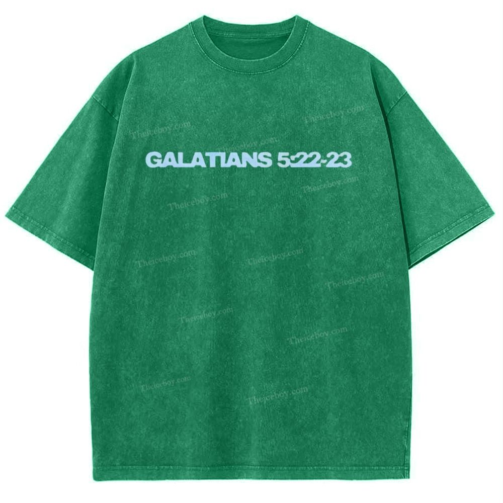 Galatians 5:22-23 Snowflake Vintage Washed T-Shirt