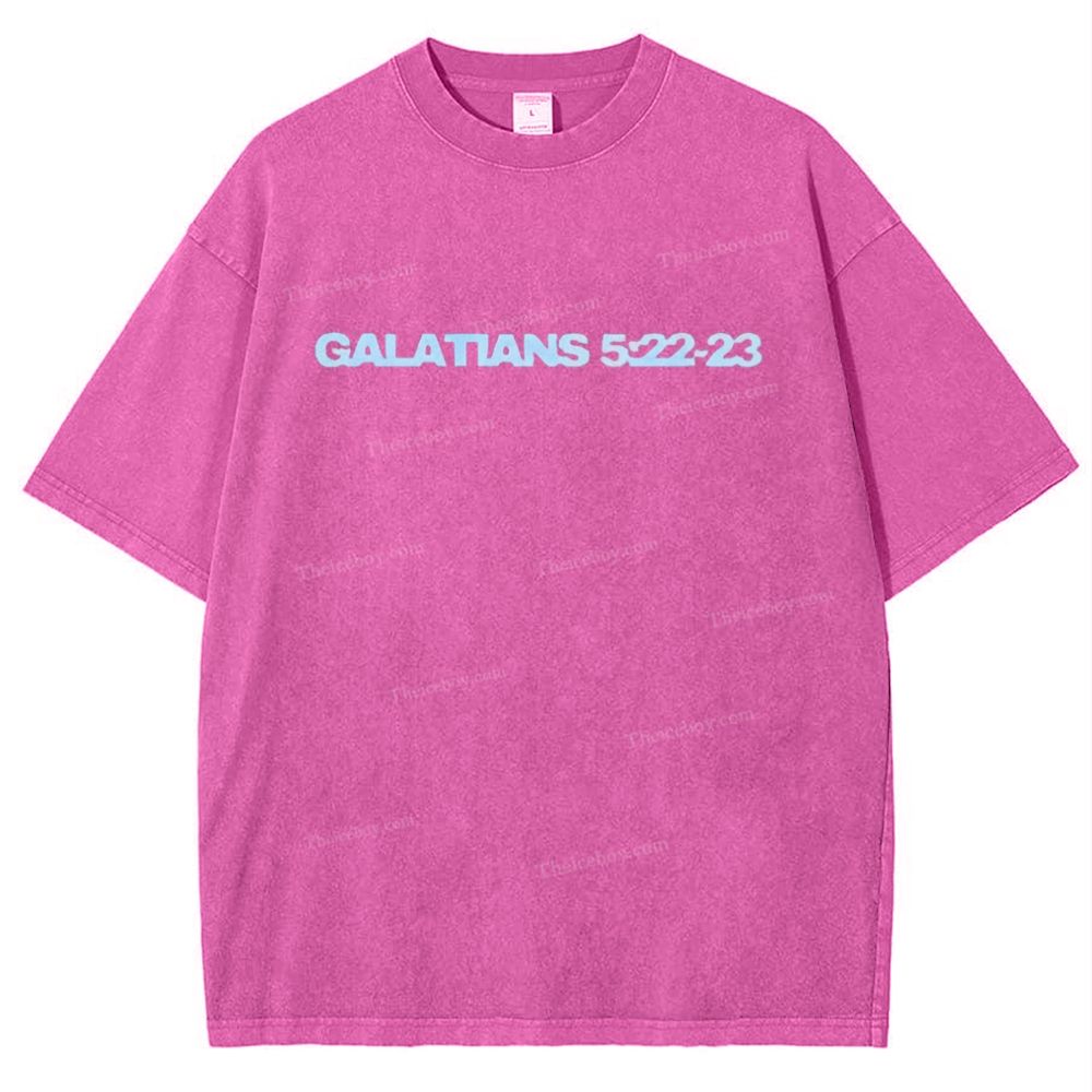 Galatians 5:22-23 Snowflake Vintage Washed T-Shirt