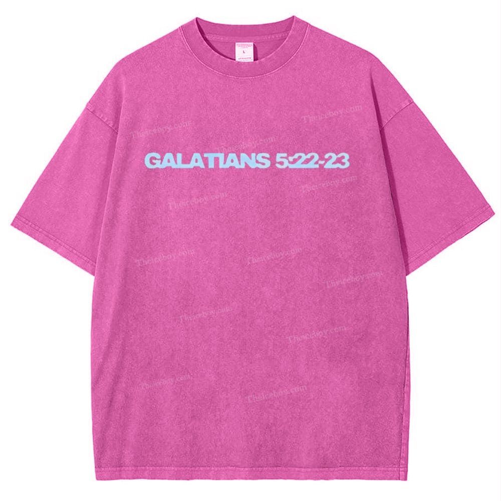 Galatians 5:22-23 Snowflake Vintage Washed T-Shirt
