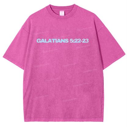 Galatians 5:22-23 Snowflake Vintage Washed T-Shirt