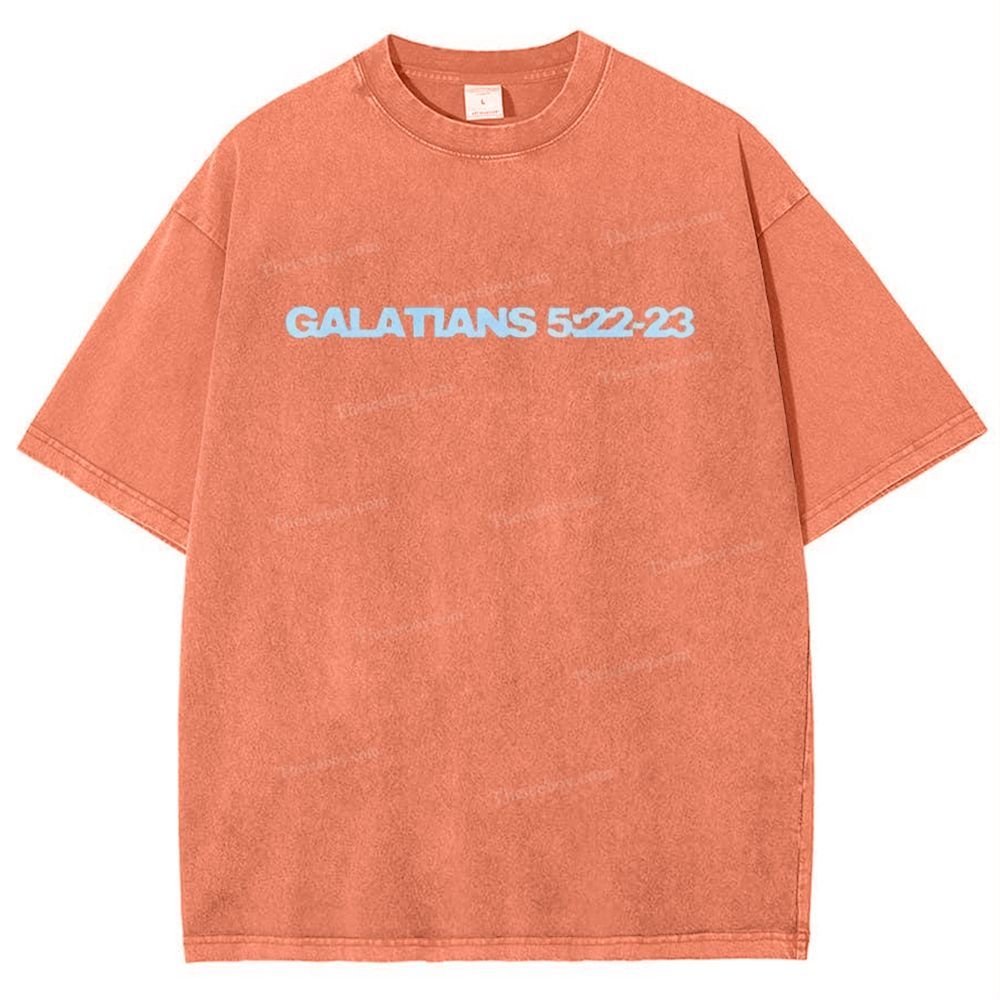Galatians 5:22-23 Snowflake Vintage Washed T-Shirt