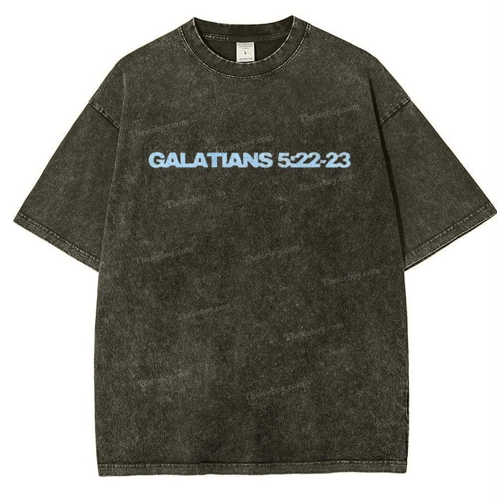 Galatians 5:22-23 Snowflake Vintage Washed T-Shirt