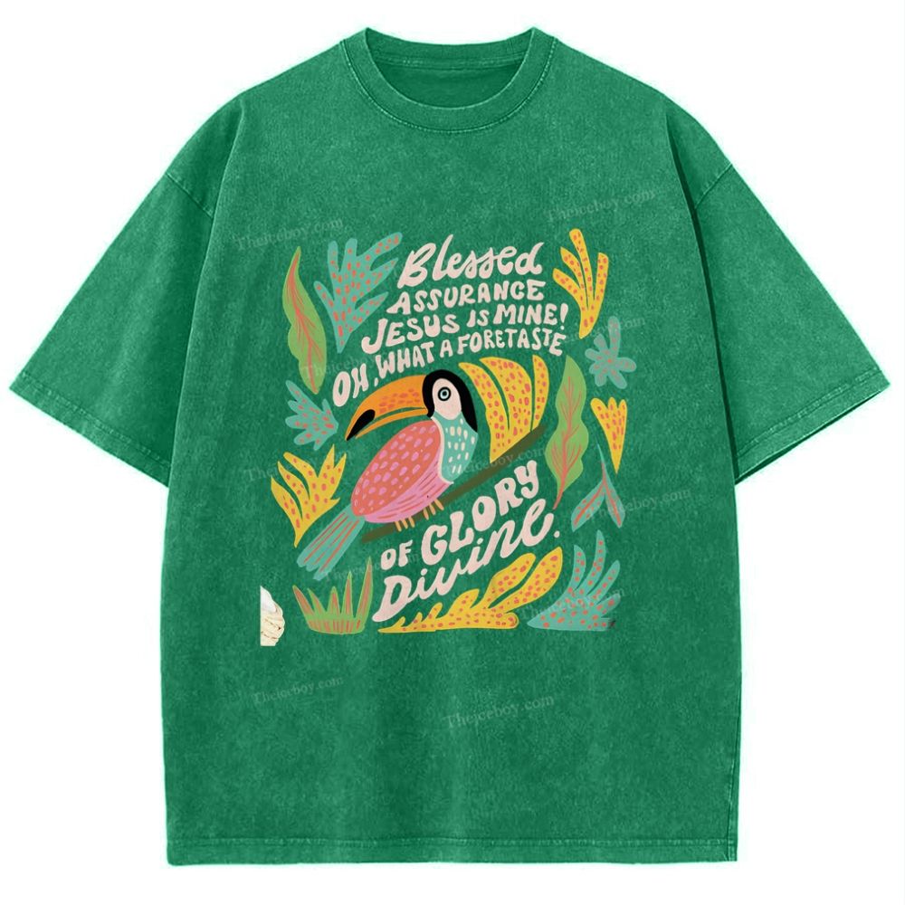 Blessed Assurance Jesus Is Mine Snowflake Vintage Washed T-Shirt