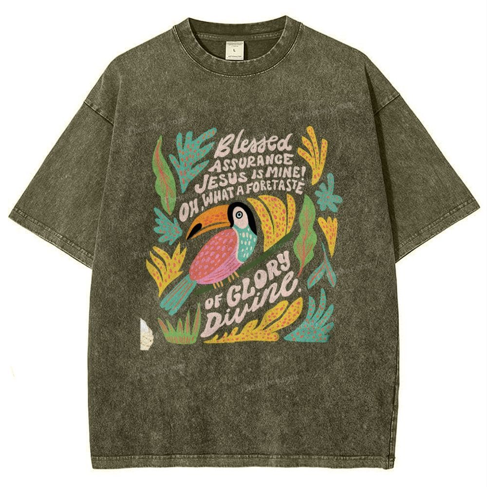 Blessed Assurance Jesus Is Mine Snowflake Vintage Washed T-Shirt