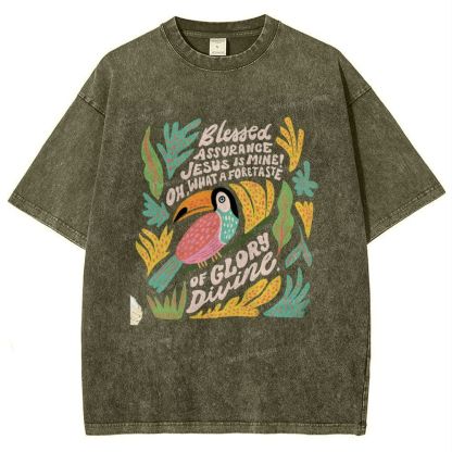 Blessed Assurance Jesus Is Mine Snowflake Vintage Washed T-Shirt