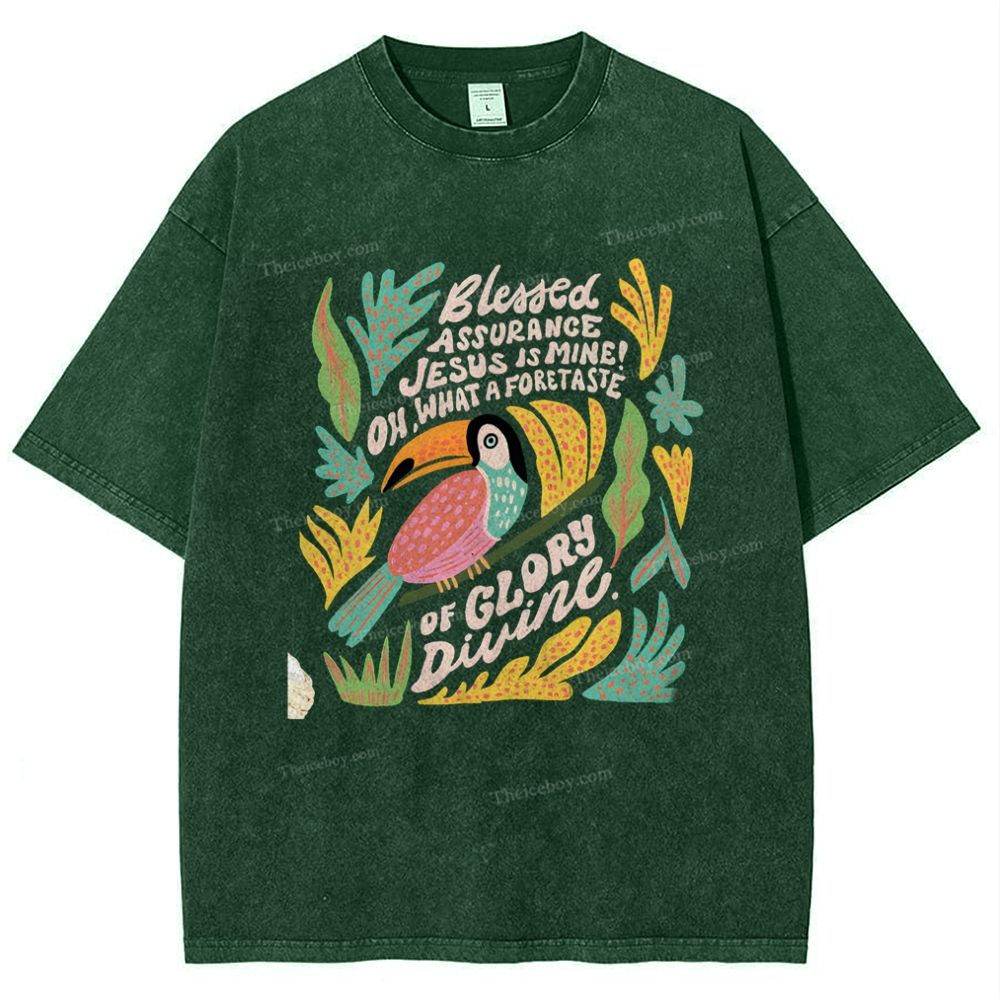 Blessed Assurance Jesus Is Mine Snowflake Vintage Washed T-Shirt