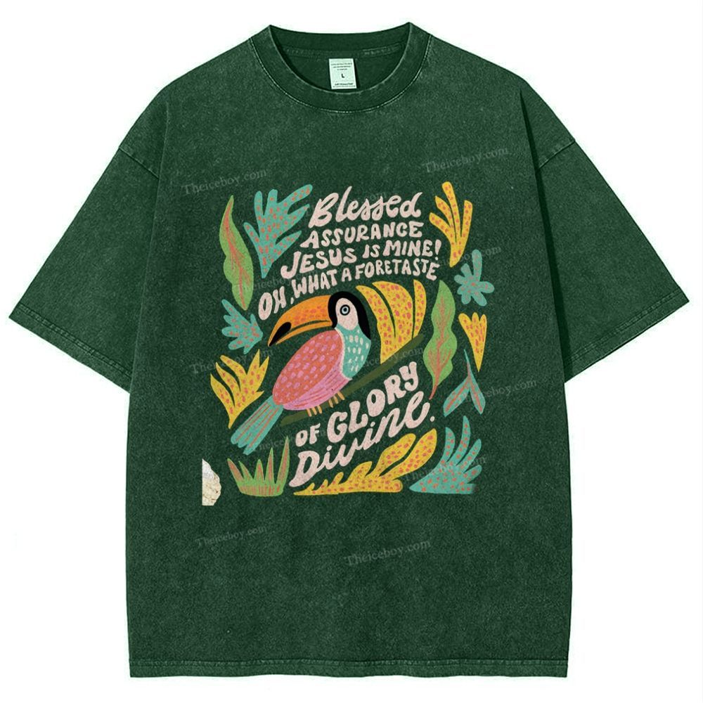 Blessed Assurance Jesus Is Mine Snowflake Vintage Washed T-Shirt