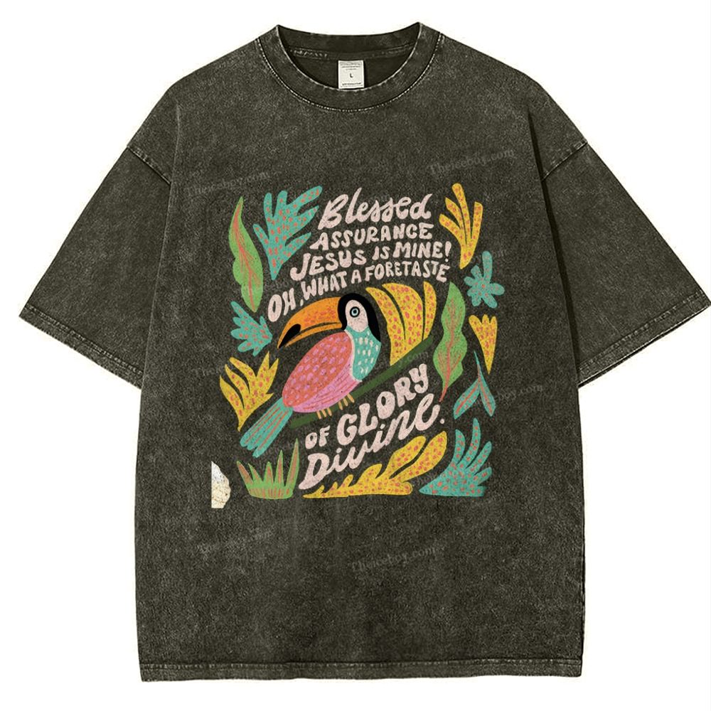 Blessed Assurance Jesus Is Mine Snowflake Vintage Washed T-Shirt