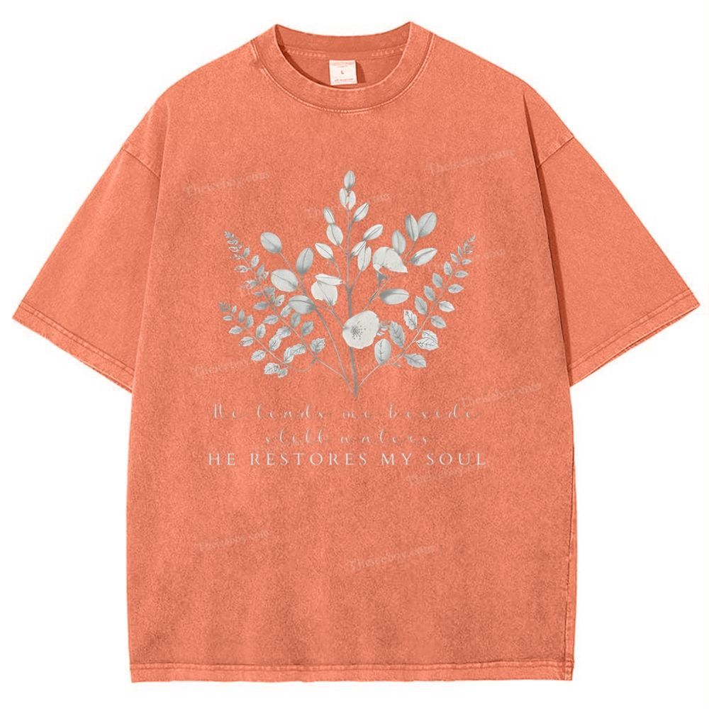 He Restores My Soul Snowflake Vintage Washed T-Shirt