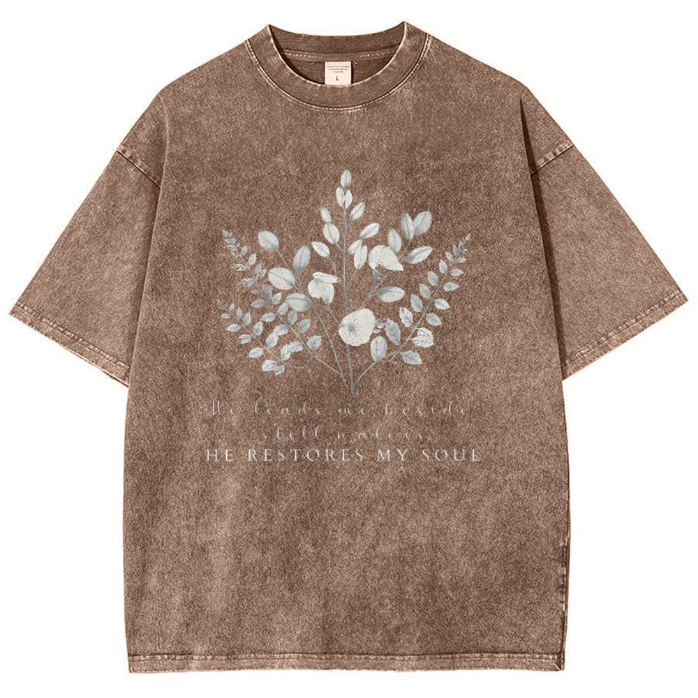 He Restores My Soul Snowflake Vintage Washed T-Shirt