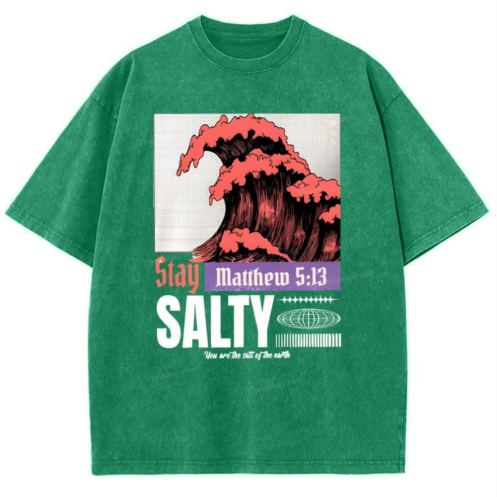 Salty Snowflake Vintage Washed T-Shirt