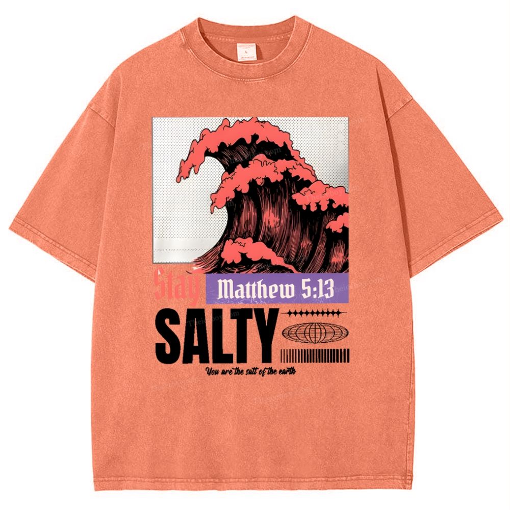 Salty Snowflake Vintage Washed T-Shirt