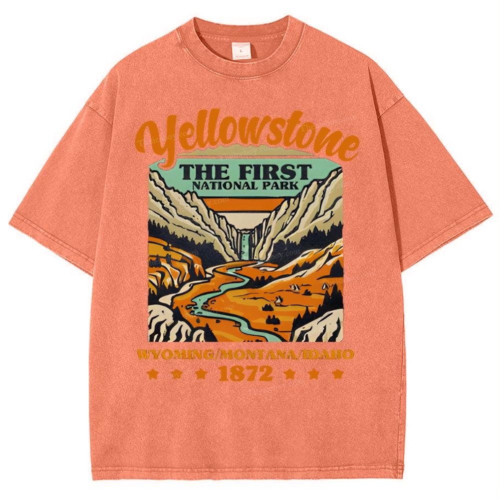 Yellow Stone Snowflake Vintage Washed T-Shirt