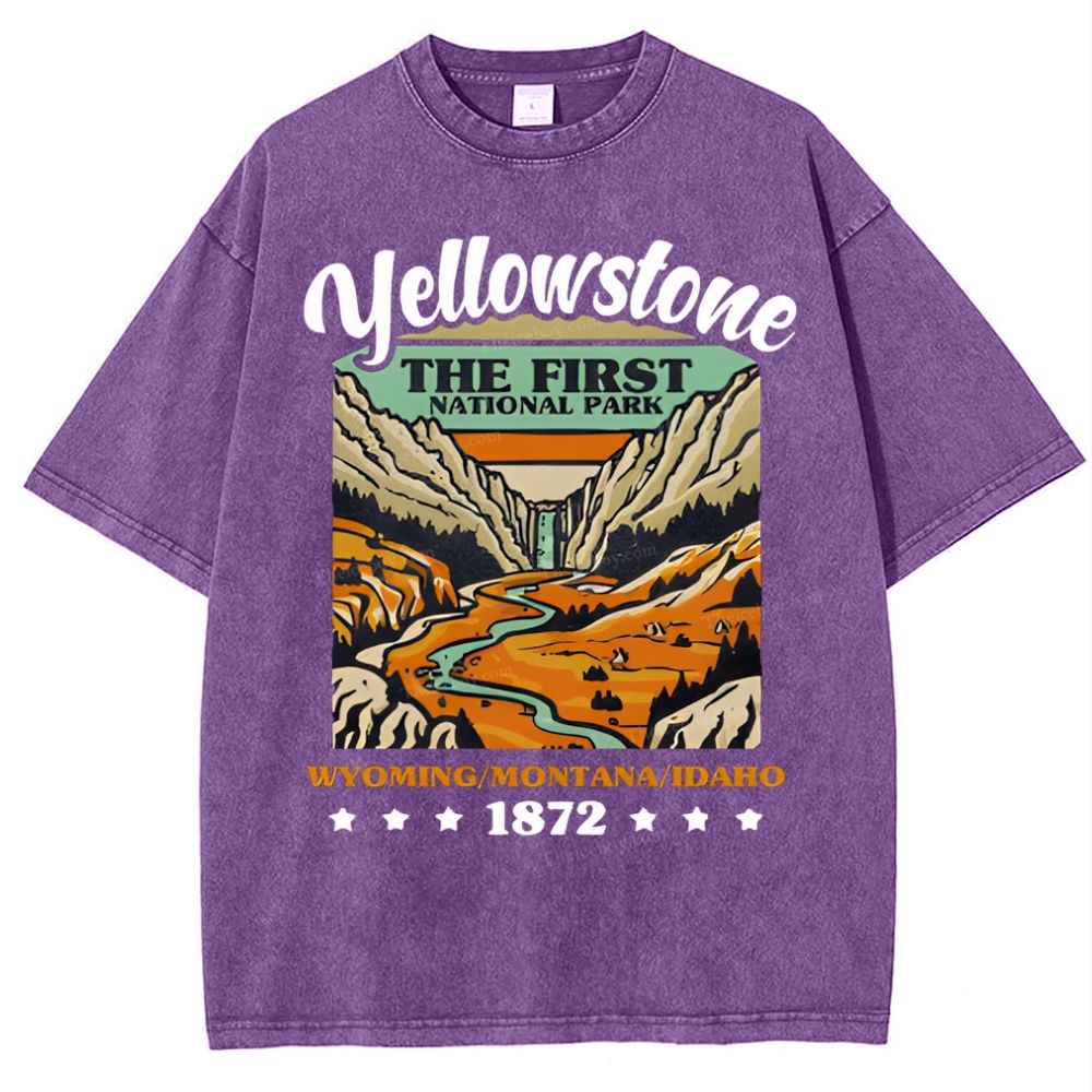 Yellow Stone Snowflake Vintage Washed T-Shirt