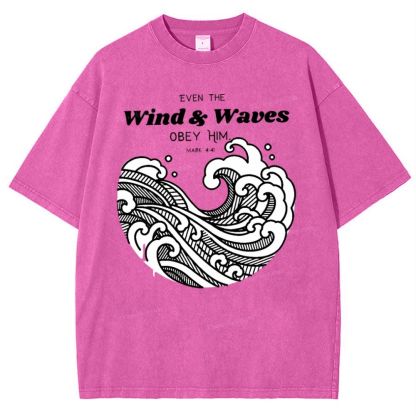 Wind And Waves Snowflake Vintage Washed T-Shirt