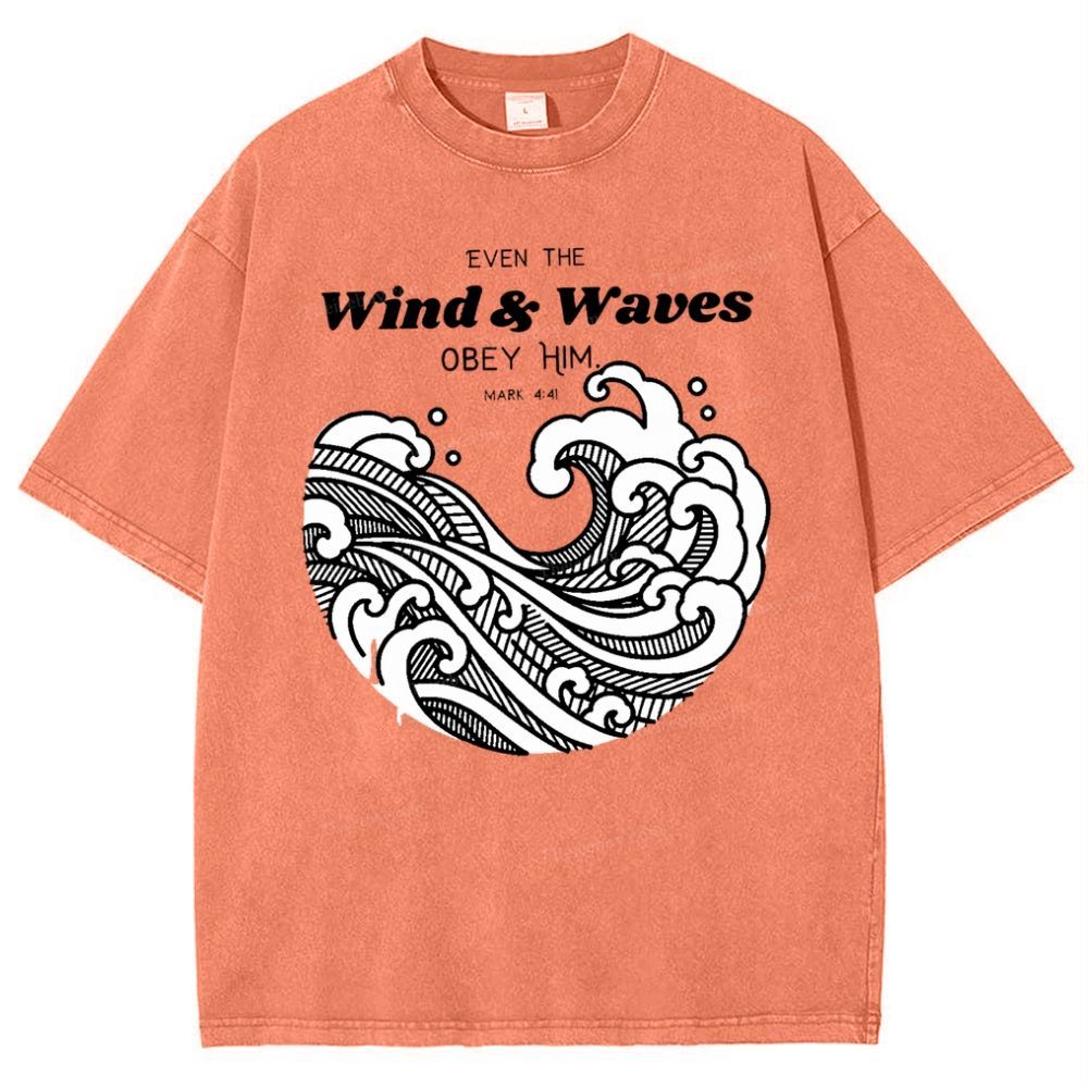 Wind And Waves Snowflake Vintage Washed T-Shirt