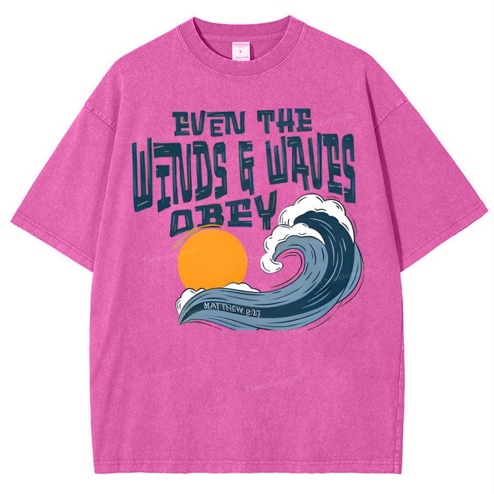 Even The Wind And Waves Snowflake Vintage Washed T-Shirt