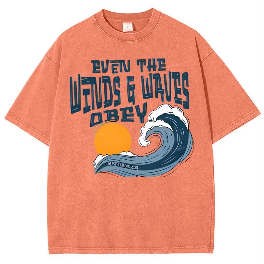 Even The Wind And Waves Snowflake Vintage Washed T-Shirt