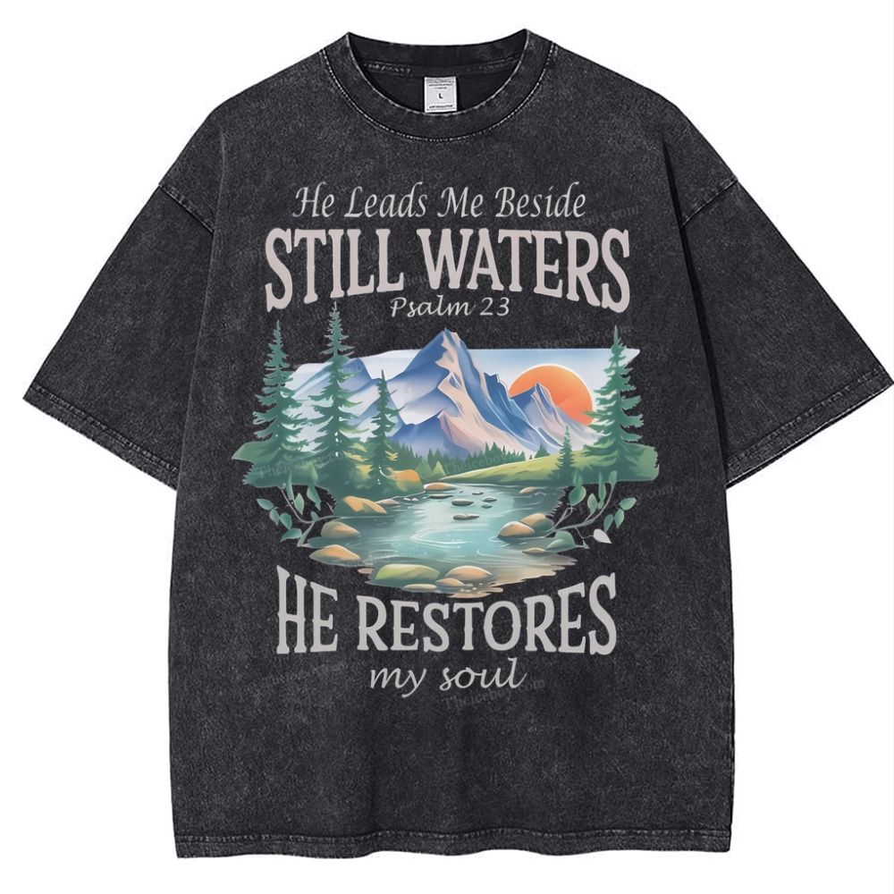 He Lead Me Beside Still Waters Snowflake Vintage Washed T-Shirt