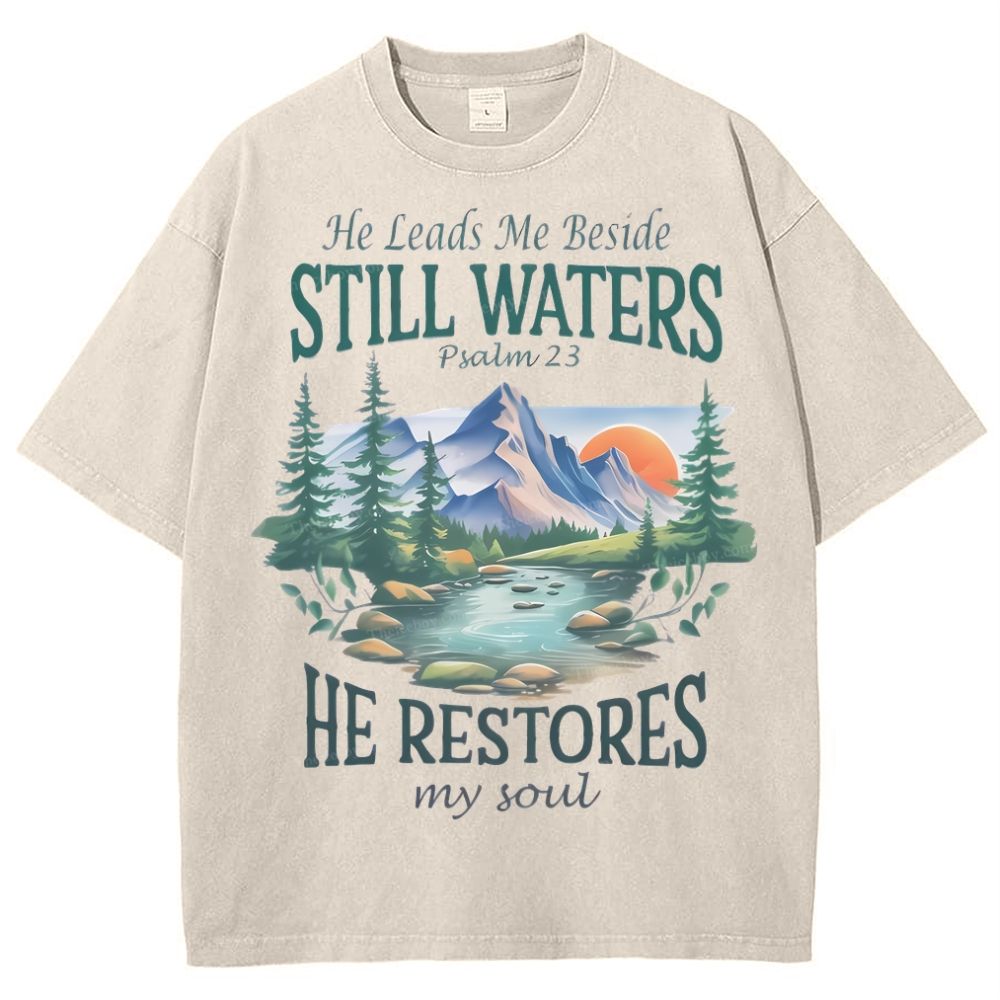 He Lead Me Beside Still Waters Snowflake Vintage Washed T-Shirt