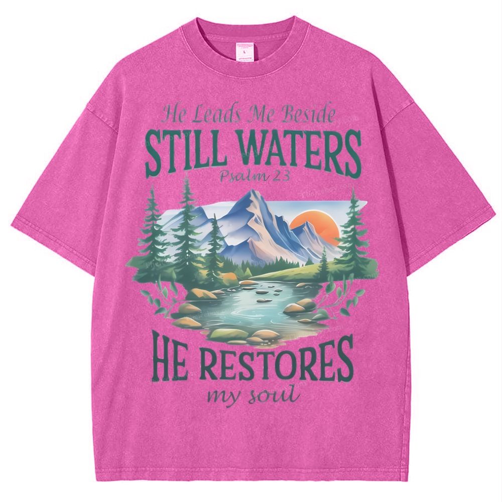 He Lead Me Beside Still Waters Snowflake Vintage Washed T-Shirt