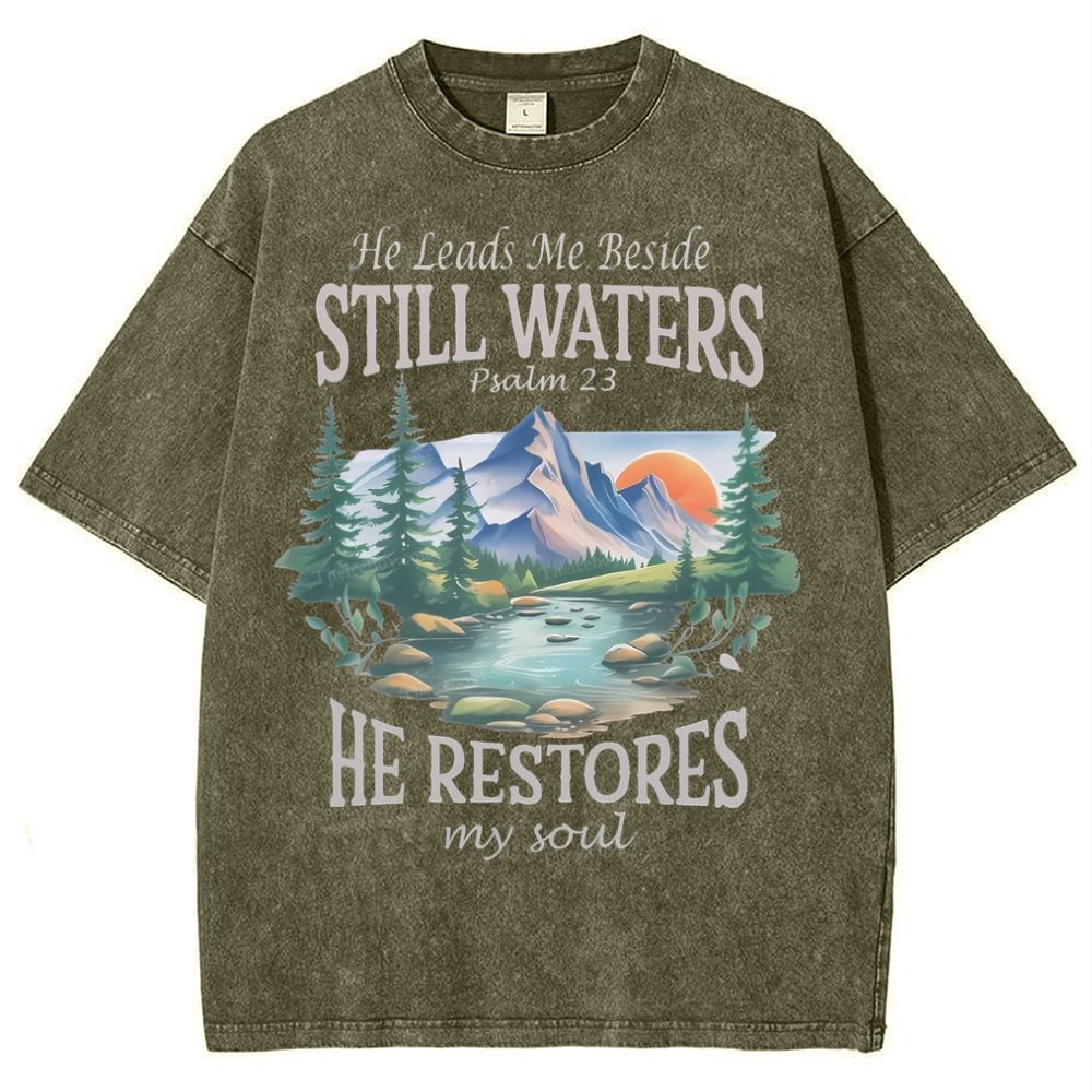 He Lead Me Beside Still Waters Snowflake Vintage Washed T-Shirt
