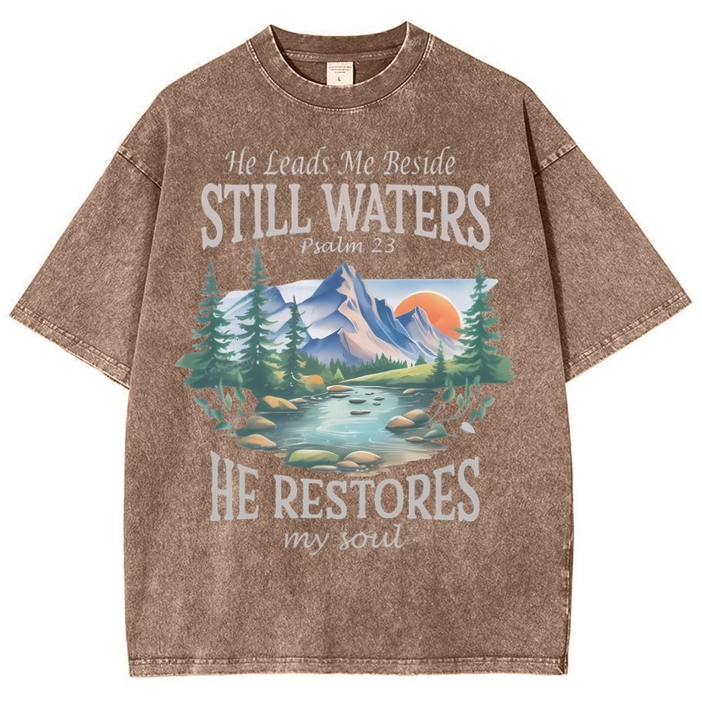 He Lead Me Beside Still Waters Snowflake Vintage Washed T-Shirt