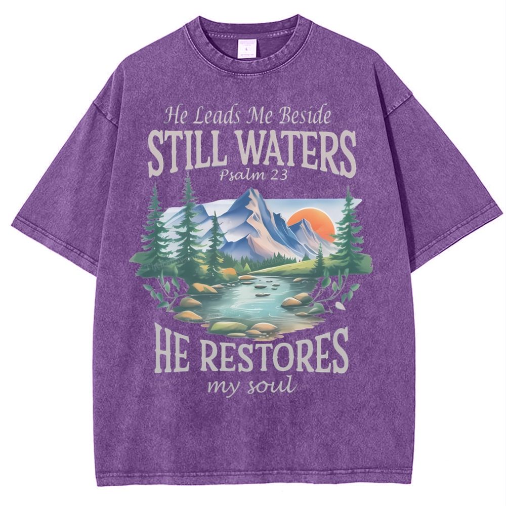 He Lead Me Beside Still Waters Snowflake Vintage Washed T-Shirt