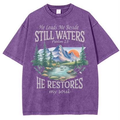 He Lead Me Beside Still Waters Snowflake Vintage Washed T-Shirt