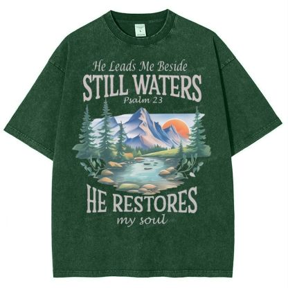 He Lead Me Beside Still Waters Snowflake Vintage Washed T-Shirt