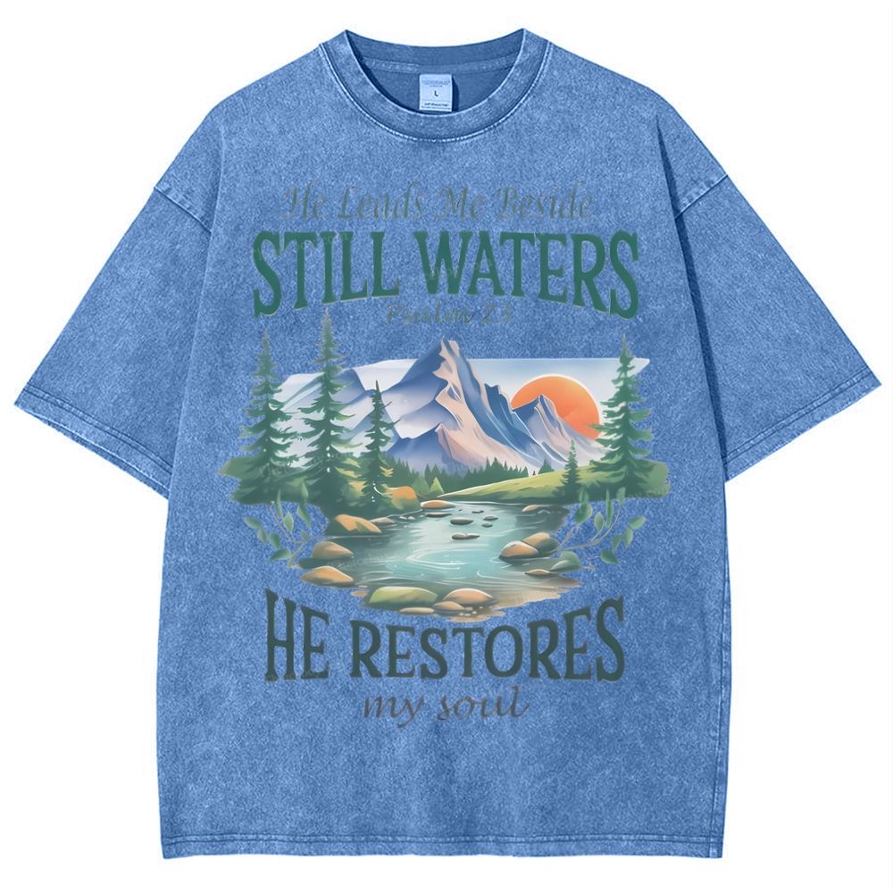 He Lead Me Beside Still Waters Snowflake Vintage Washed T-Shirt