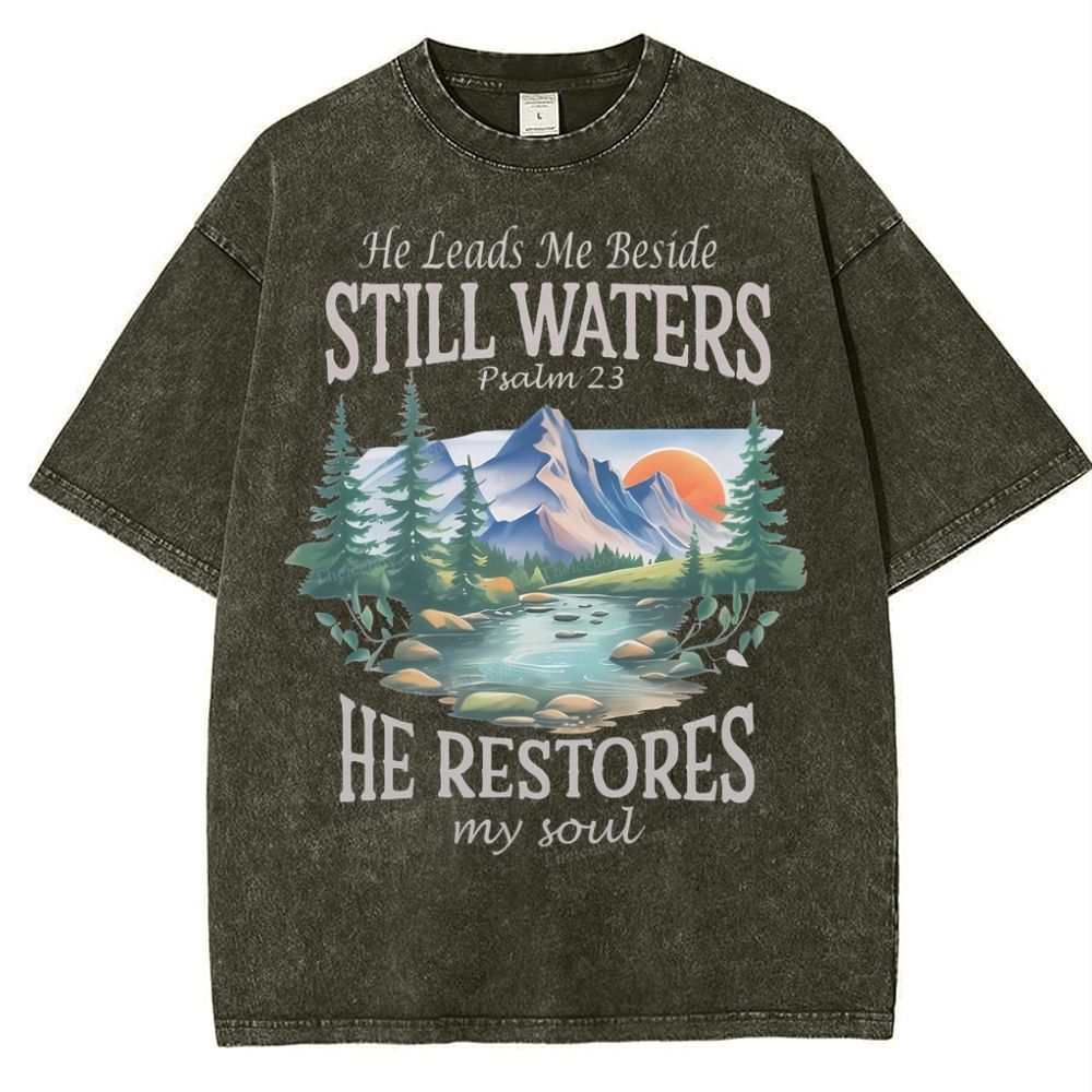He Lead Me Beside Still Waters Snowflake Vintage Washed T-Shirt