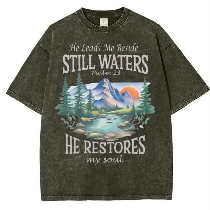 He Lead Me Beside Still Waters Snowflake Vintage Washed T-Shirt