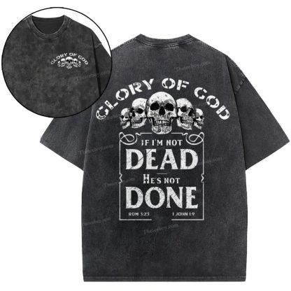 Glory Of God Snowflake Vintage Washed T-Shirt