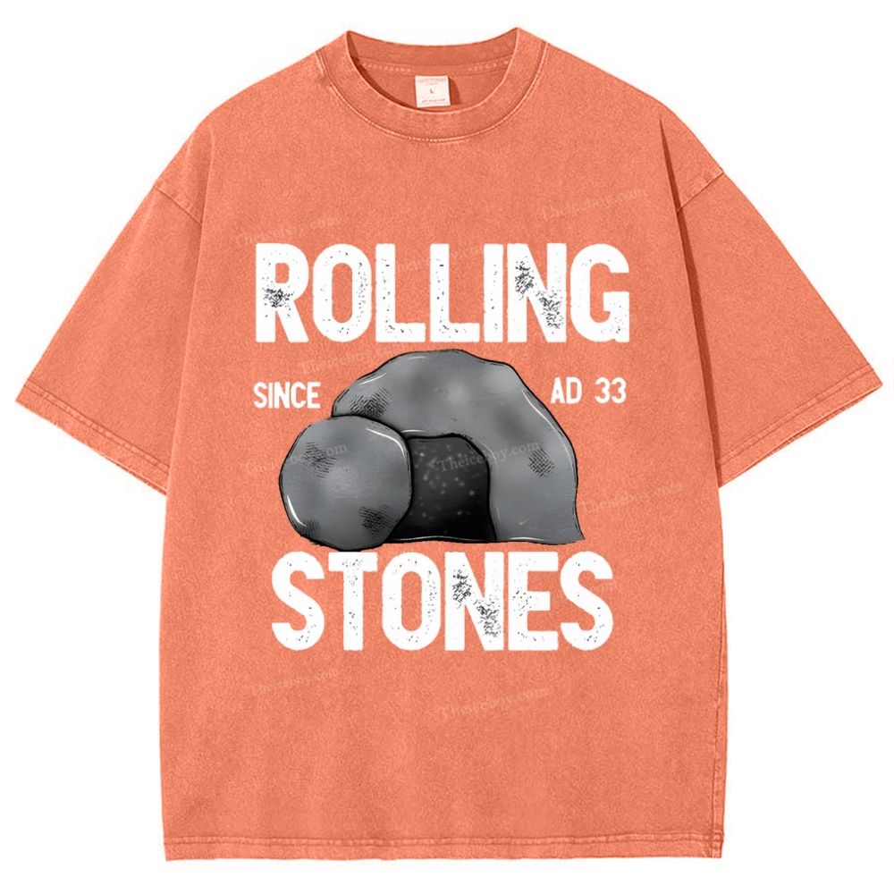 Rolling Stones Snowflake Vintage Washed T-Shirt