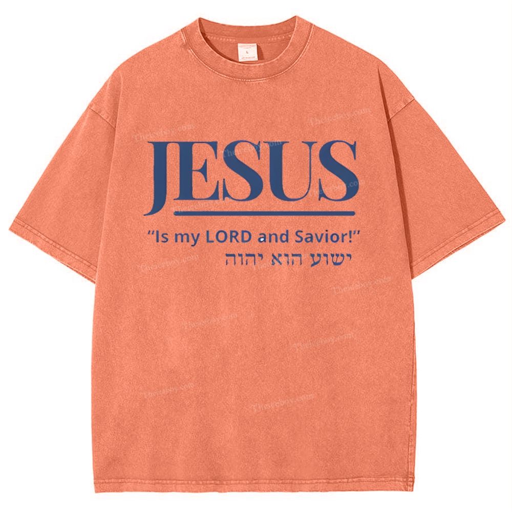 Jesus Snowflake Vintage Washed T-Shirt
