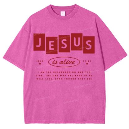 Jesus Is Alive Snowflake Vintage Washed T-Shirt