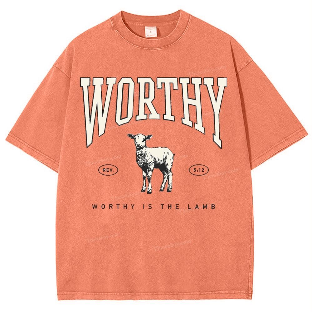 Worthy Is The Lamb Snowflake Vintage Washed T-Shirt