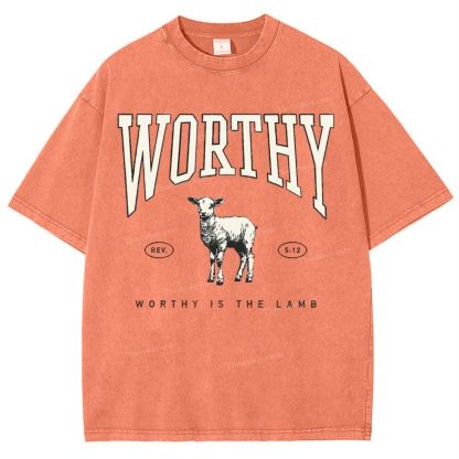 Worthy Is The Lamb Snowflake Vintage Washed T-Shirt
