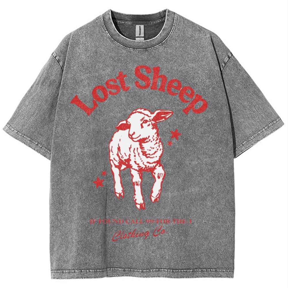 Lost Sheep Snowflake Vintage Washed T-Shirt