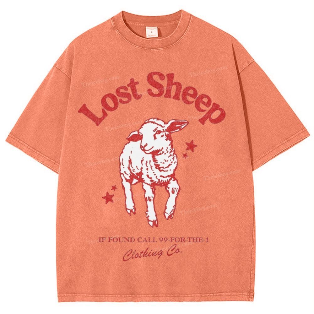 Lost Sheep Snowflake Vintage Washed T-Shirt