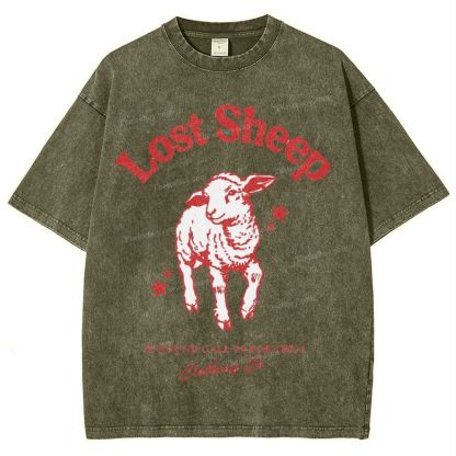 Lost Sheep Snowflake Vintage Washed T-Shirt