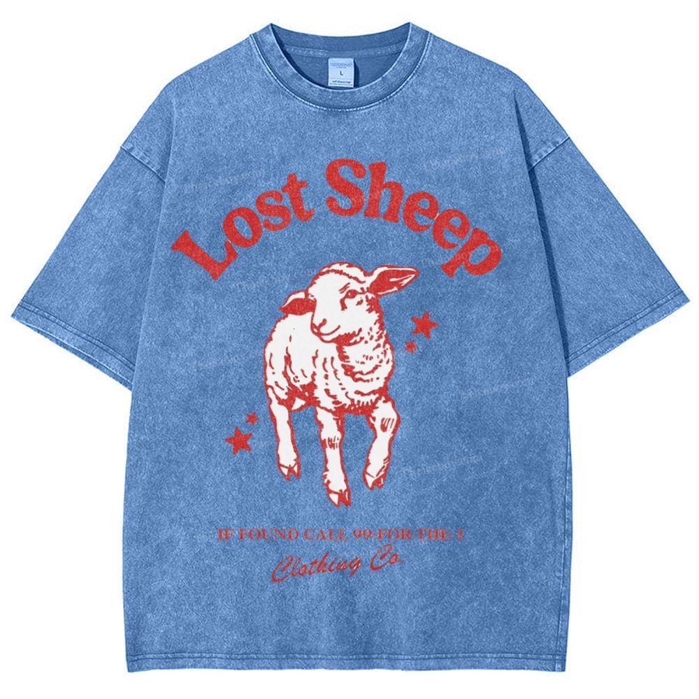 Lost Sheep Snowflake Vintage Washed T-Shirt