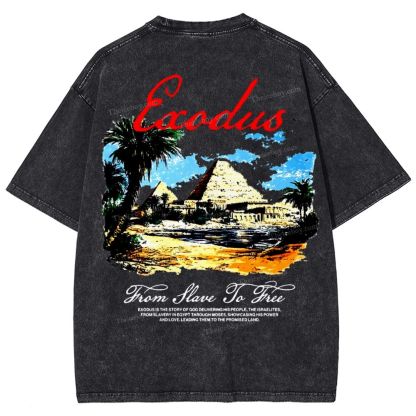 Saodus Snowflake Vintage Washed T-Shirt