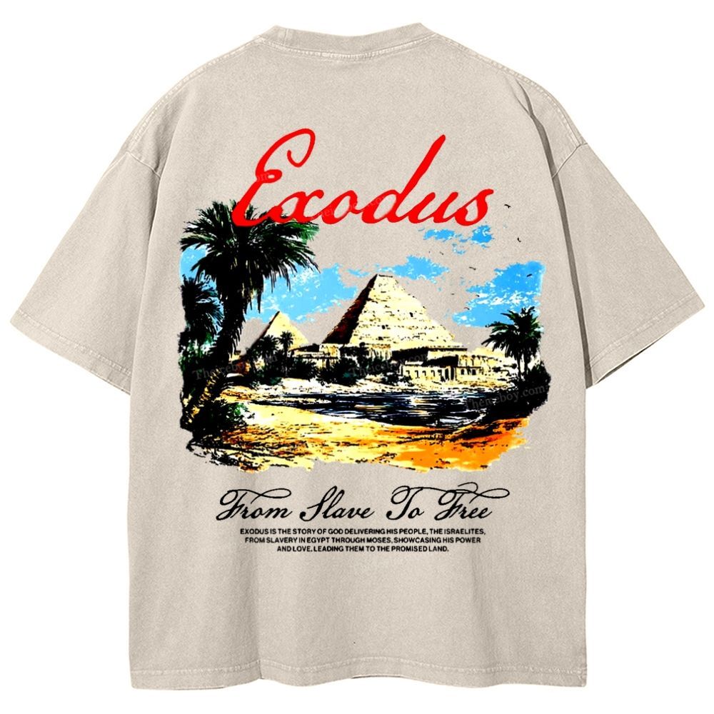 Saodus Snowflake Vintage Washed T-Shirt